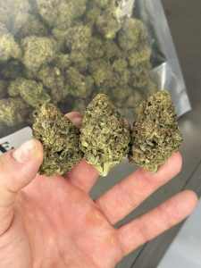 Buy Psychedelic Mushrooms Near Me
