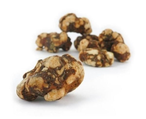 Order Galindoi psilocybe truffles