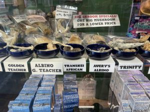 how to grow magic mushrooms