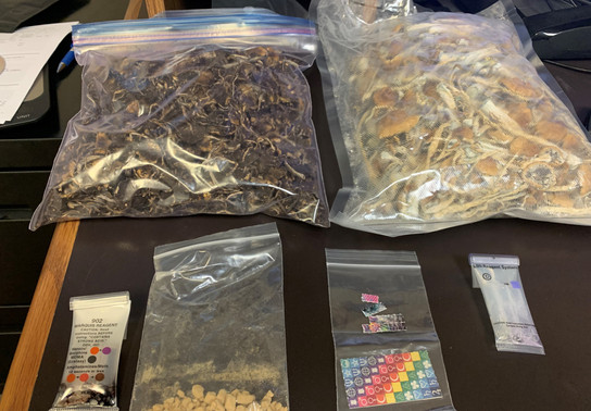 how to grow magic mushrooms