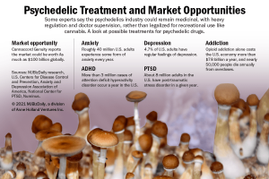 how to grow magic mushrooms