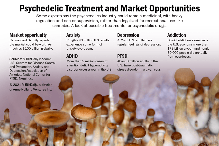 how to grow magic mushrooms