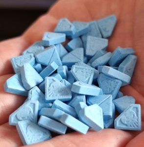 Molly for sale