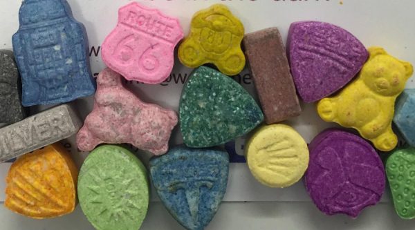 Molly for sale