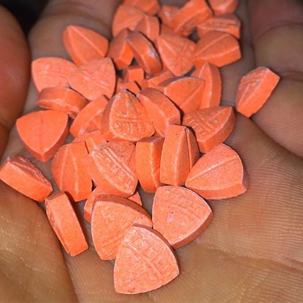 Molly for sale
